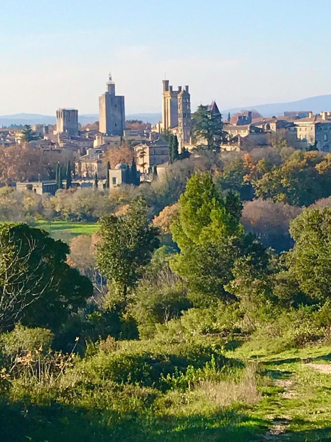 Maison De Roche-Uzes Centre Historique L' Ucetia Kültér fotó